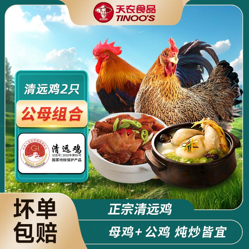 【天农】正宗清远鸡  母鸡1kg/只+清远鸡公鸡900g/只