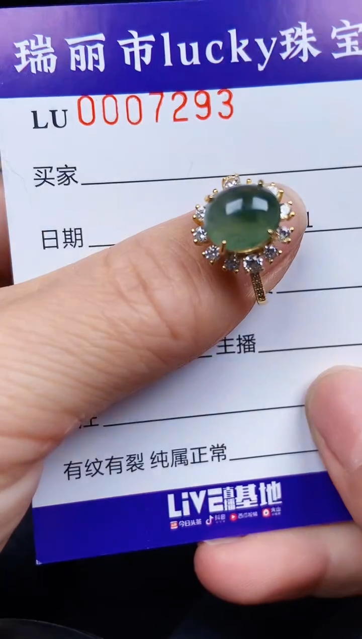 翡翠银S925镶嵌颈饰7293