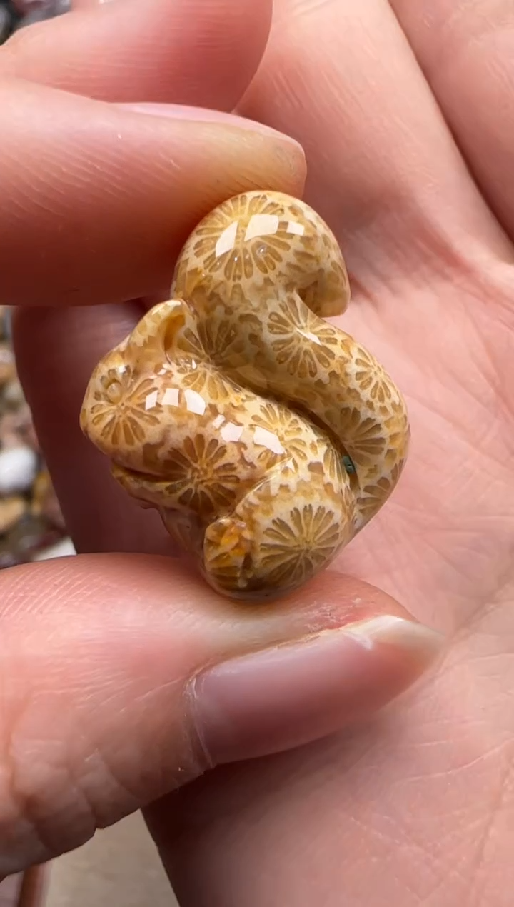 【闪购商品】硅化珊瑚（珊瑚玉）颈饰未镶嵌423