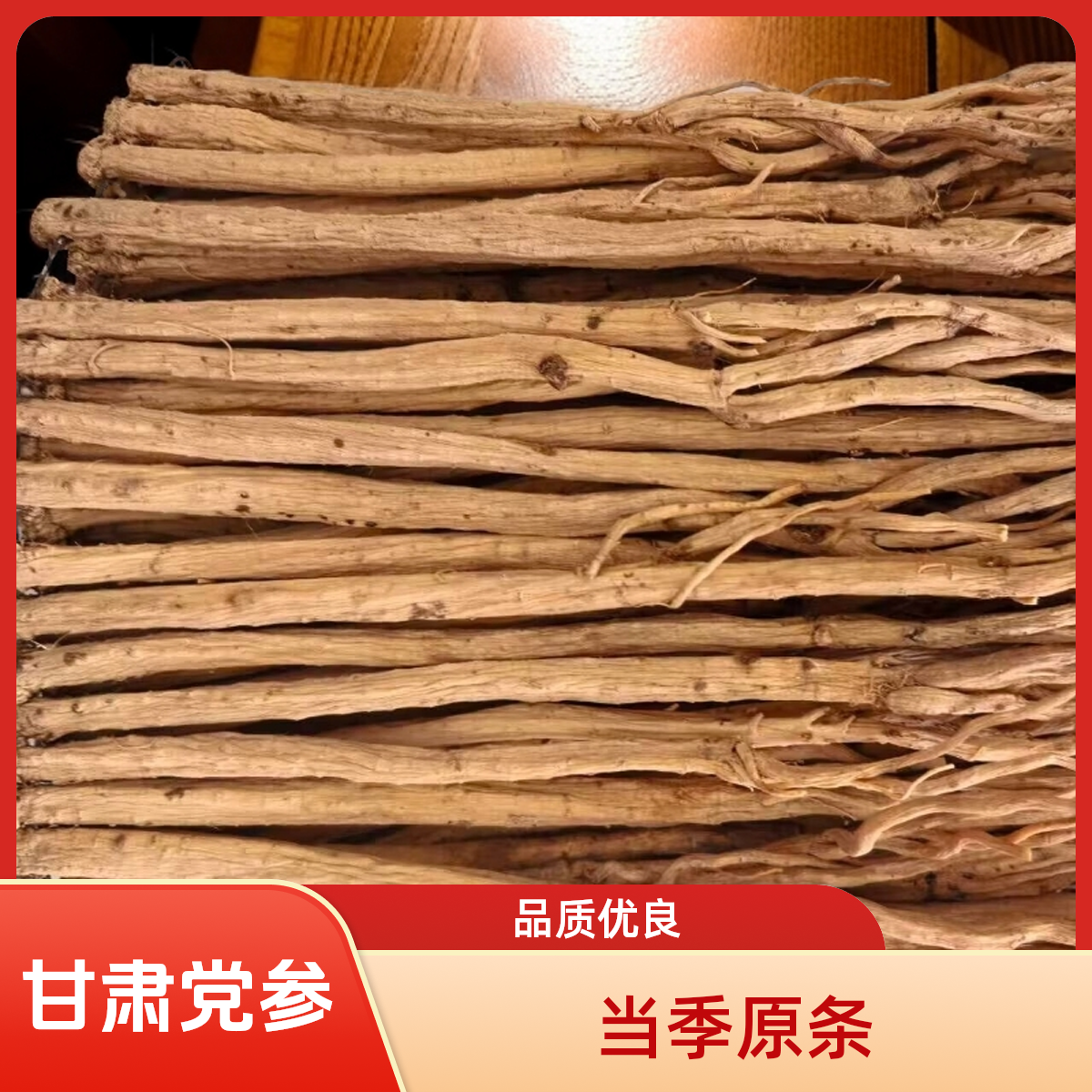 甘肃白条党参当季干货产地原条