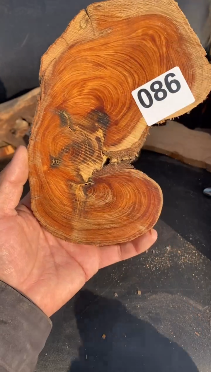 柏木（崖柏）太行陈化崖柏切片! 随机（1单1片）