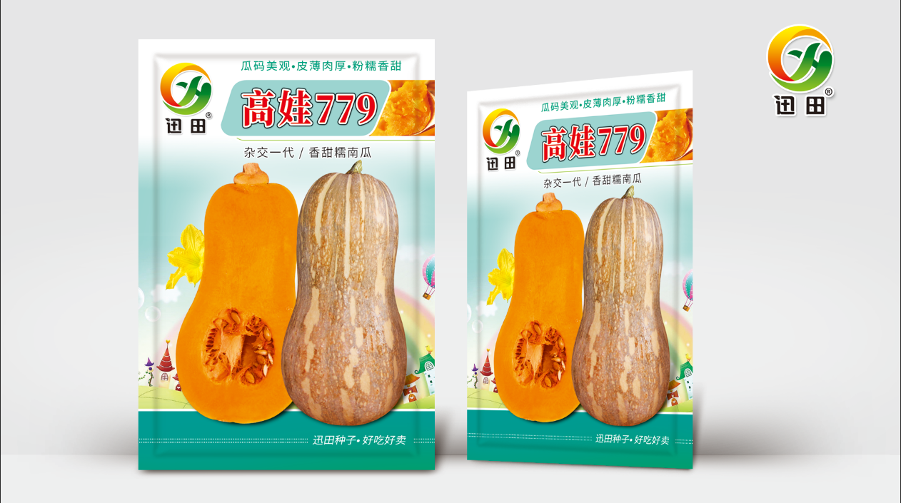 高娃779香甜糯南瓜种子云南现摘新鲜蜜本南瓜正宗老南瓜蔬菜种籽