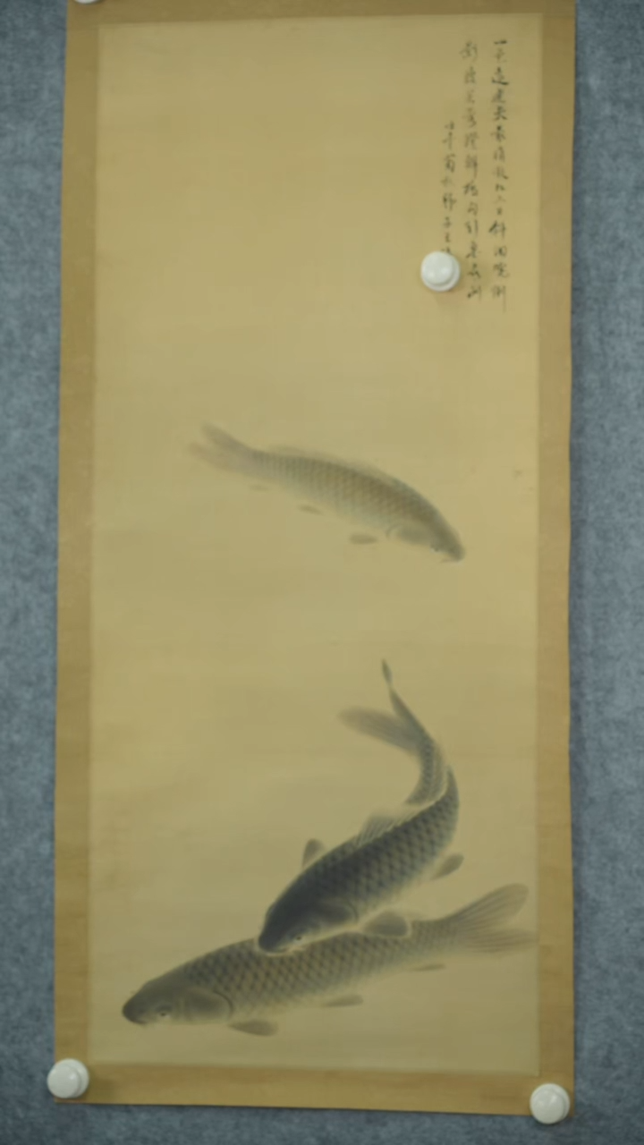 横款【辽拍】王先生-鱼