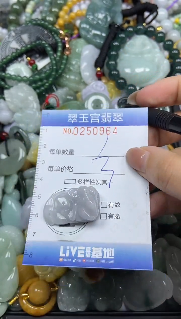 颈饰未镶嵌翡翠闪购C0250964
