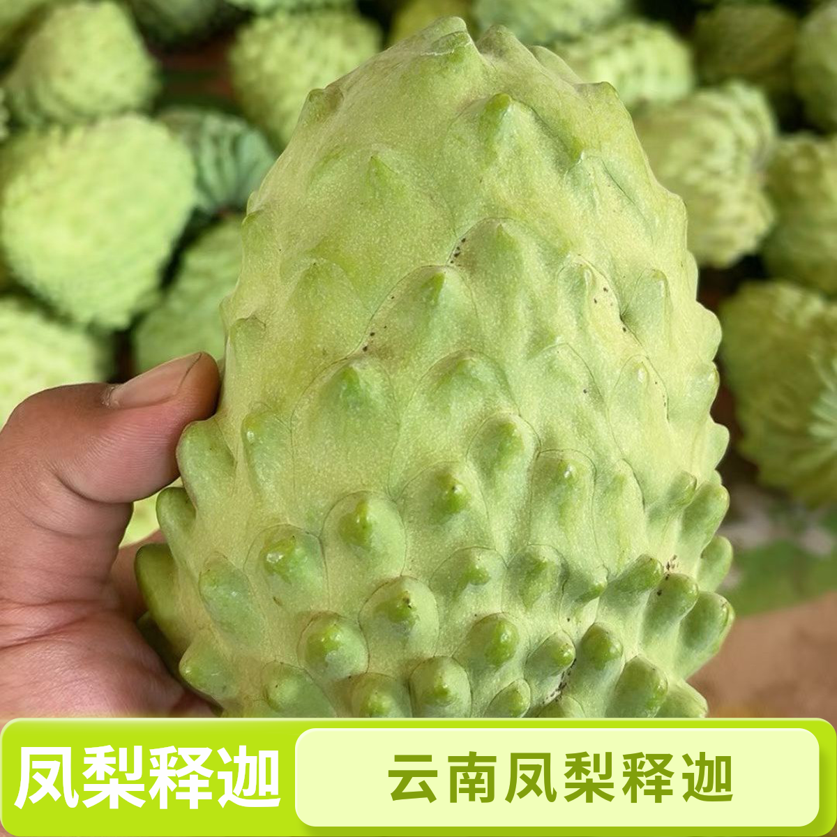 顺丰包邮凤梨释迦果番荔枝新鲜水果牛奶凤梨释迦冰激凌口感