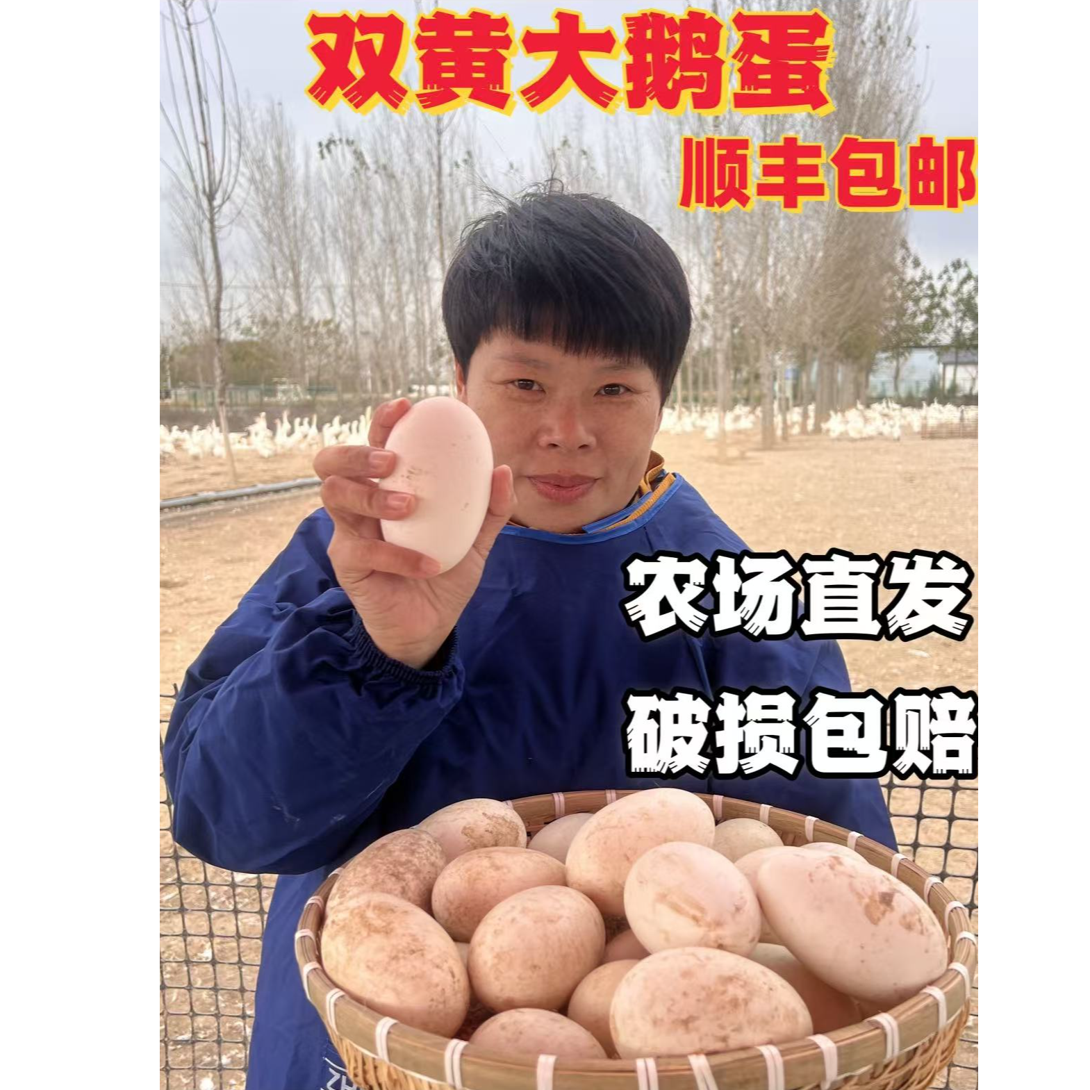 《现捡现发 后边农商》农家新鲜双黄土鹅蛋一箱12个单个新鲜大鹅蛋