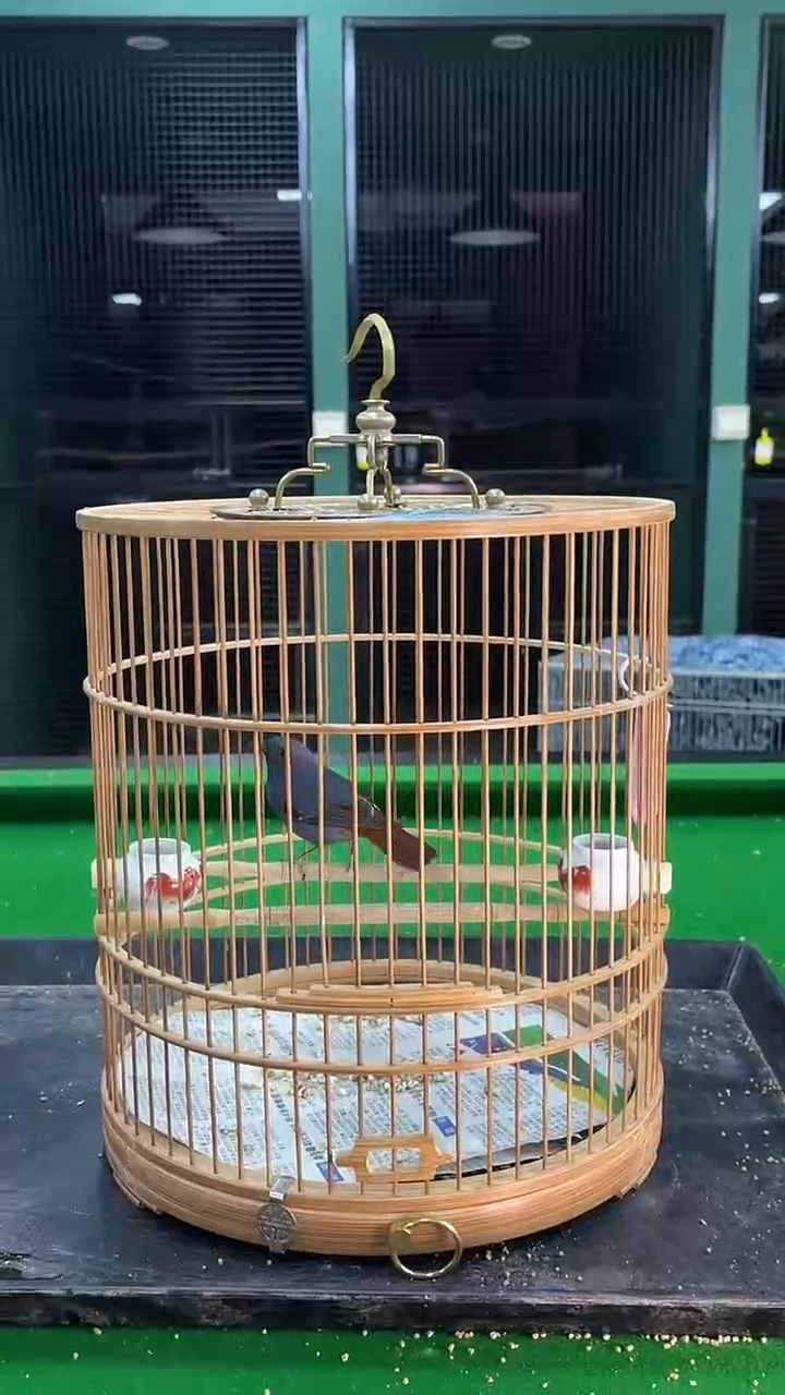 89号石燕养笼0元起拍