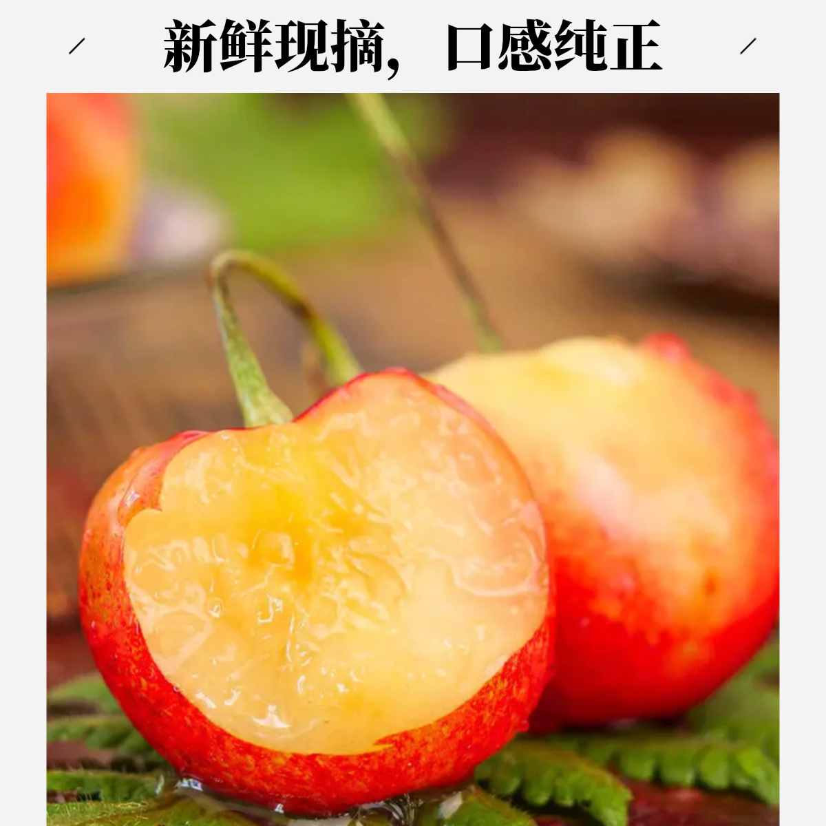 （顺丰现货）智利海运雷尼尔车厘子XL原箱原发黄车10斤装