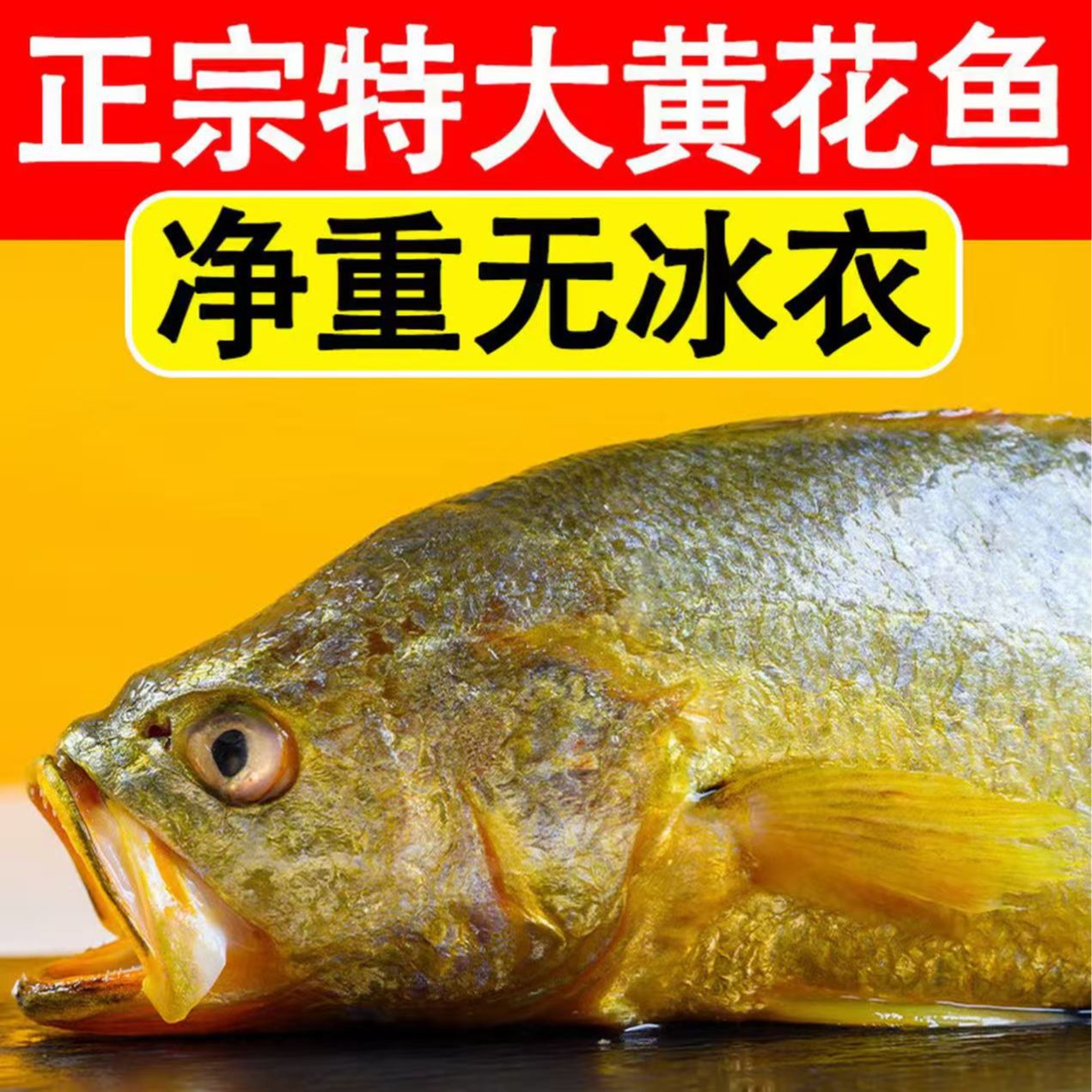 【岛里货】渤海湾 新鲜黄花鱼 黄鱼 活鱼整条速冻京东冷链直发