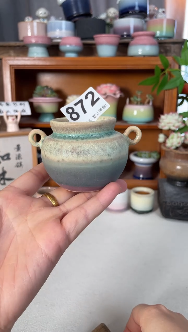瓷片872知木小芳花盆