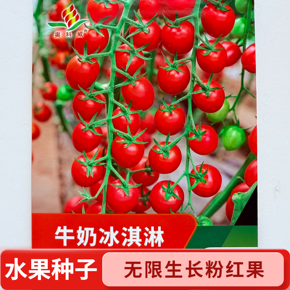 瀑布番茄种子小西红柿子樱桃串红小番茄圣女果春季庭院阳台盆栽