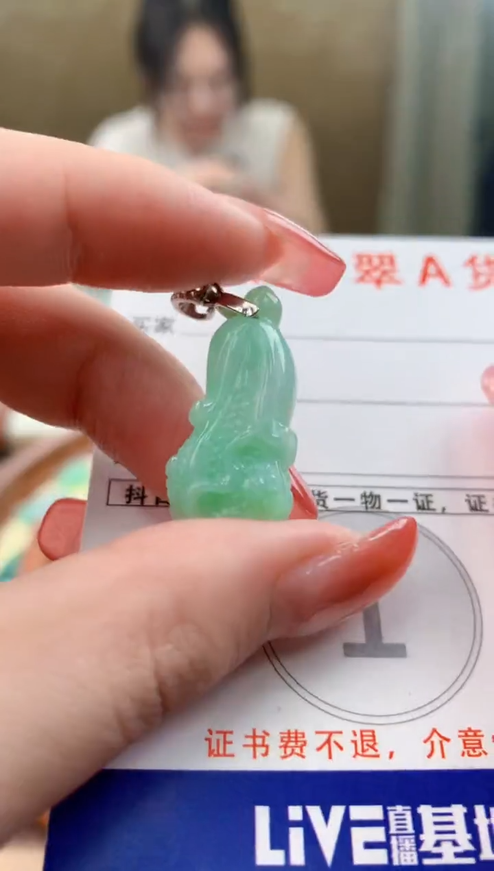 颈饰未镶嵌翡翠天然A货翡翠挂件