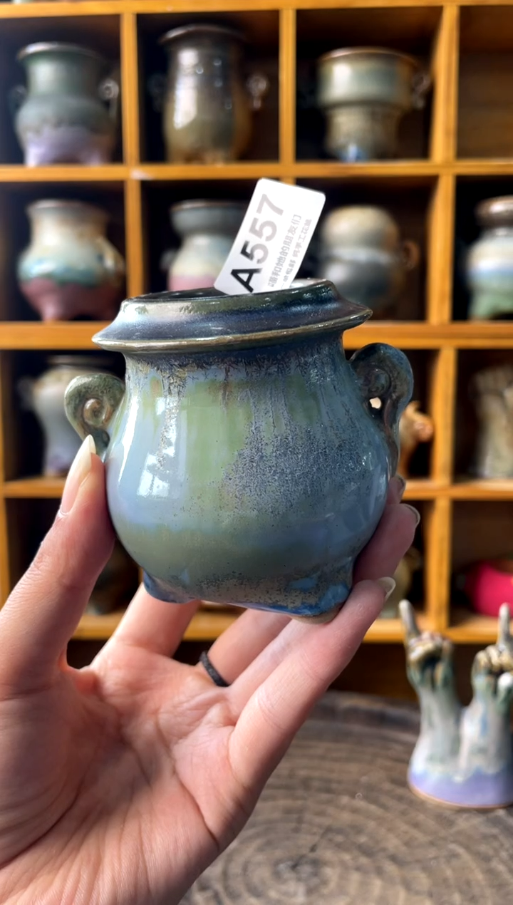 557【多肉花盆多肉盆】