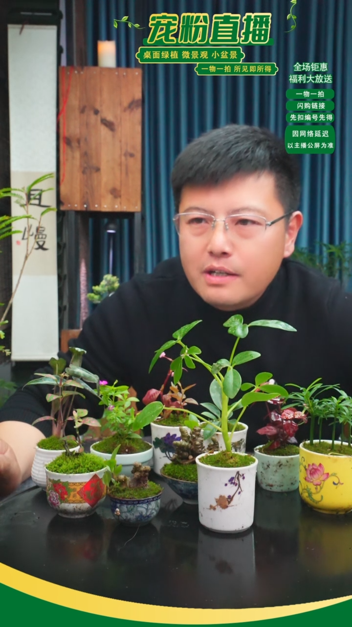 无花朵19.8元4盆器型植物随缘