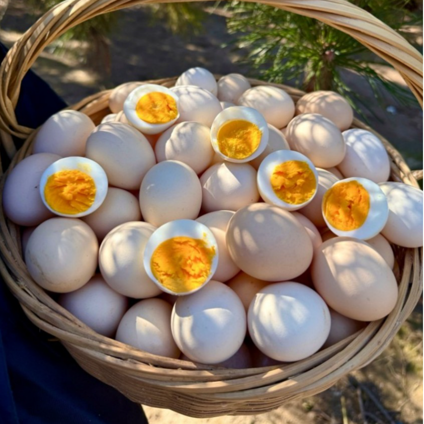 （初产蛋）农村林下散养土鸡蛋笨鸡蛋纯粮食土鸡蛋孕妇儿童营养土鸡蛋