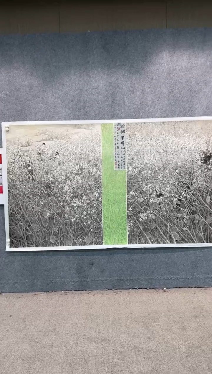 【闪购商品】国画pmw不二轩旗舰店国画LWH5