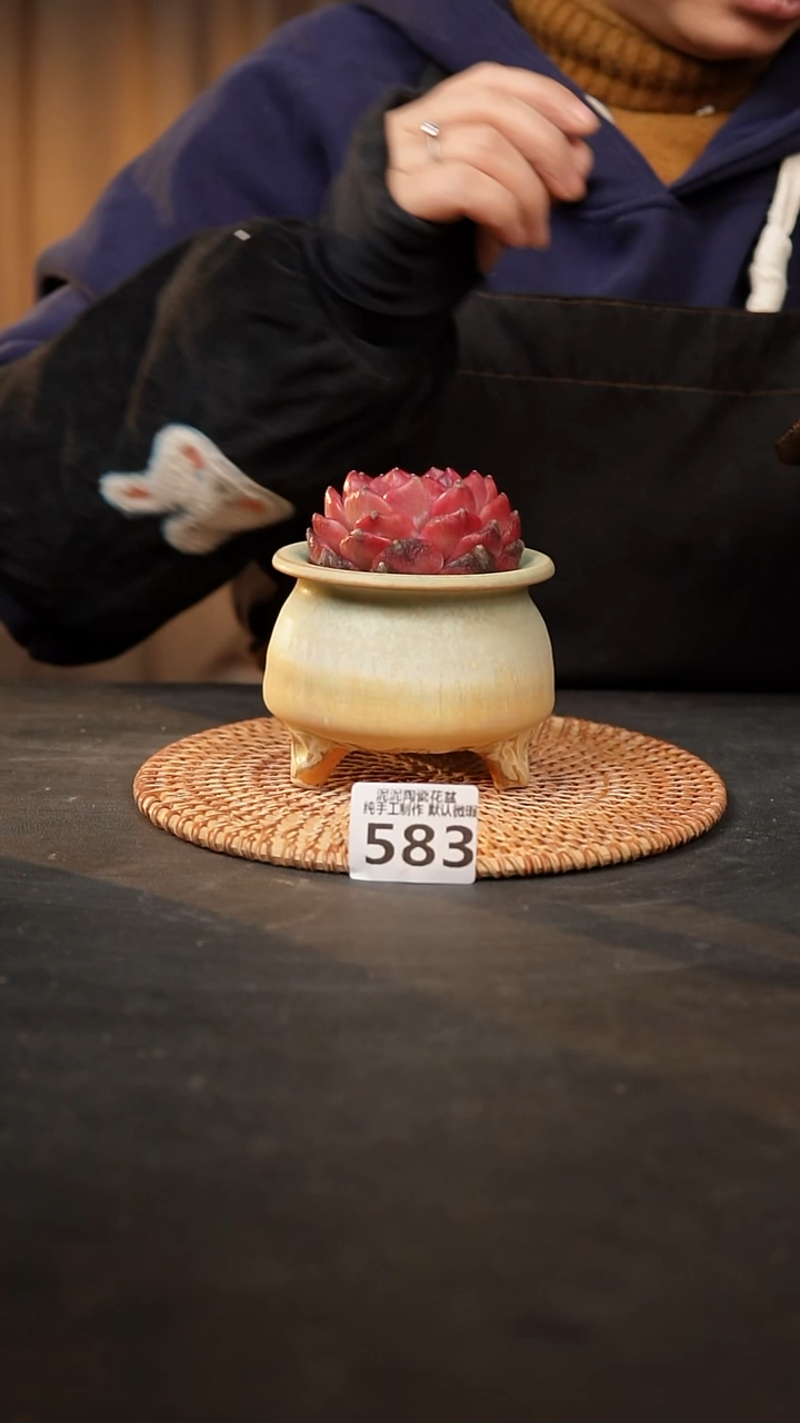 【闪购商品】瓷片583泥泥手工花盆口6高10