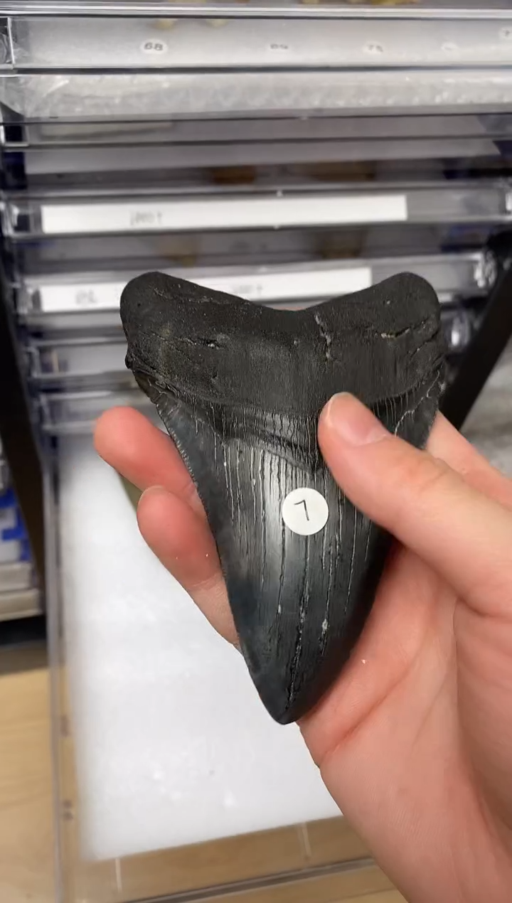 精美摆件创意礼物家居配饰新年礼物个人收藏