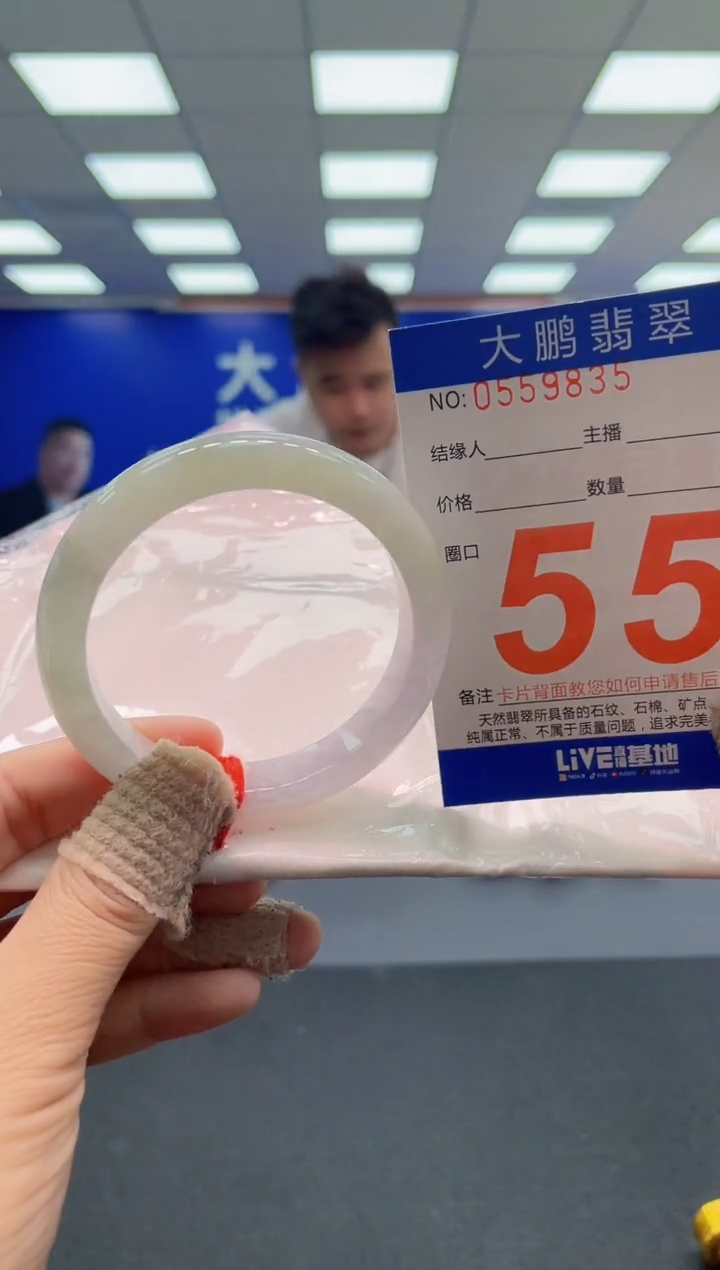未镶嵌手镯翡翠AAAAAAAAAA