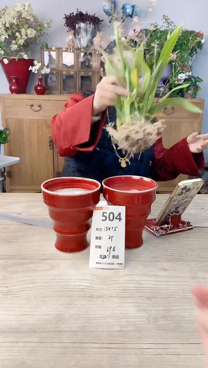 小玩子花盆直播号504