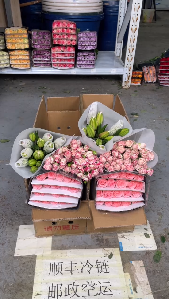 戴安娜20枝+折射10枝+粉色重瓣百合12朵