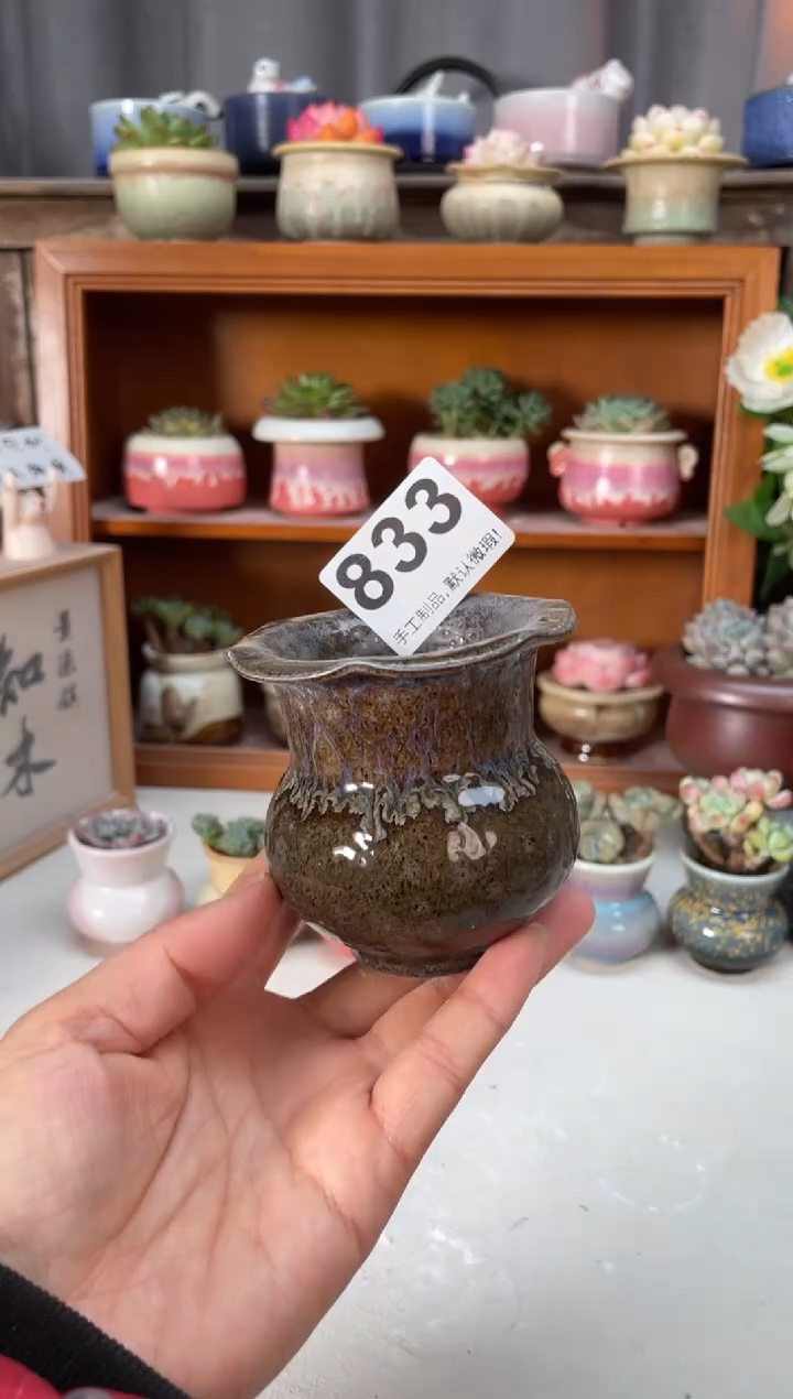 瓷片833小芳直播编号