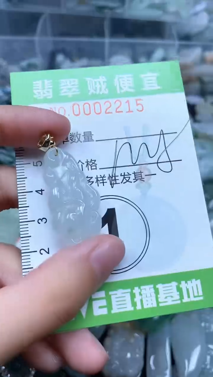 翡翠未镶嵌颈饰Z闪购0002215