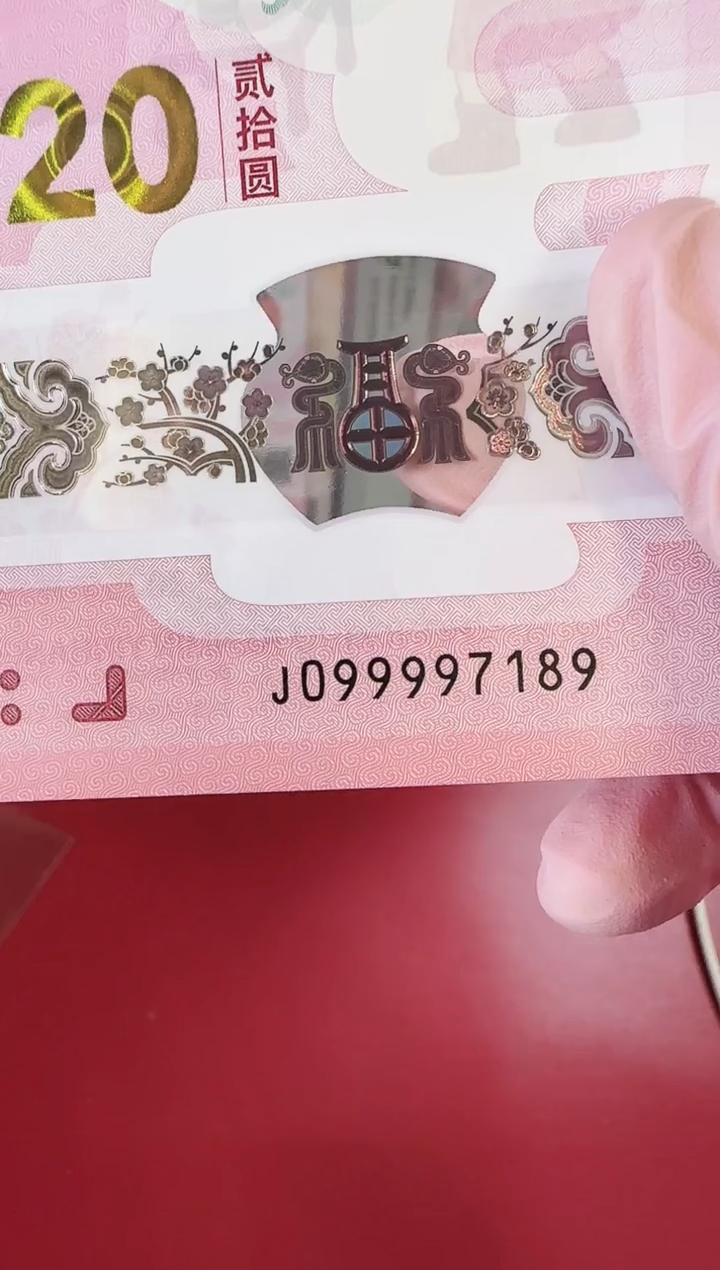 【闪购商品】塑料2025蛇钞单张啊啊啊啊啊