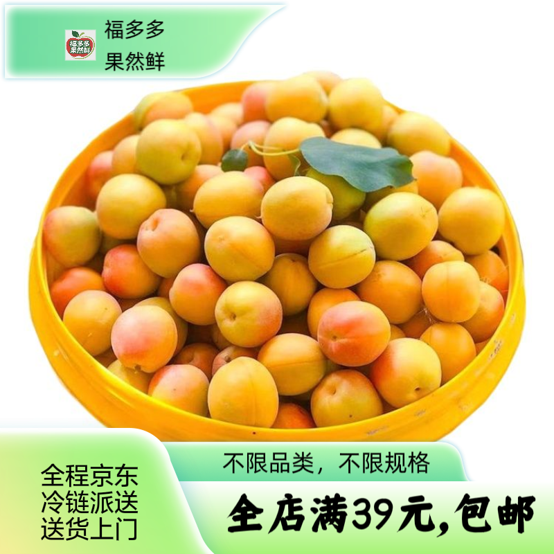 新鲜应季新疆伊犁吊干杏【一斤/份】新疆维吾尔自治区