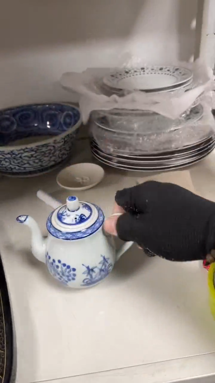 【闪购商品】杯瓷瓷瓷瓷瓷瓷瓷瓷瓷