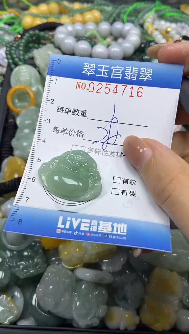 颈饰未镶嵌翡翠闪购C0254716