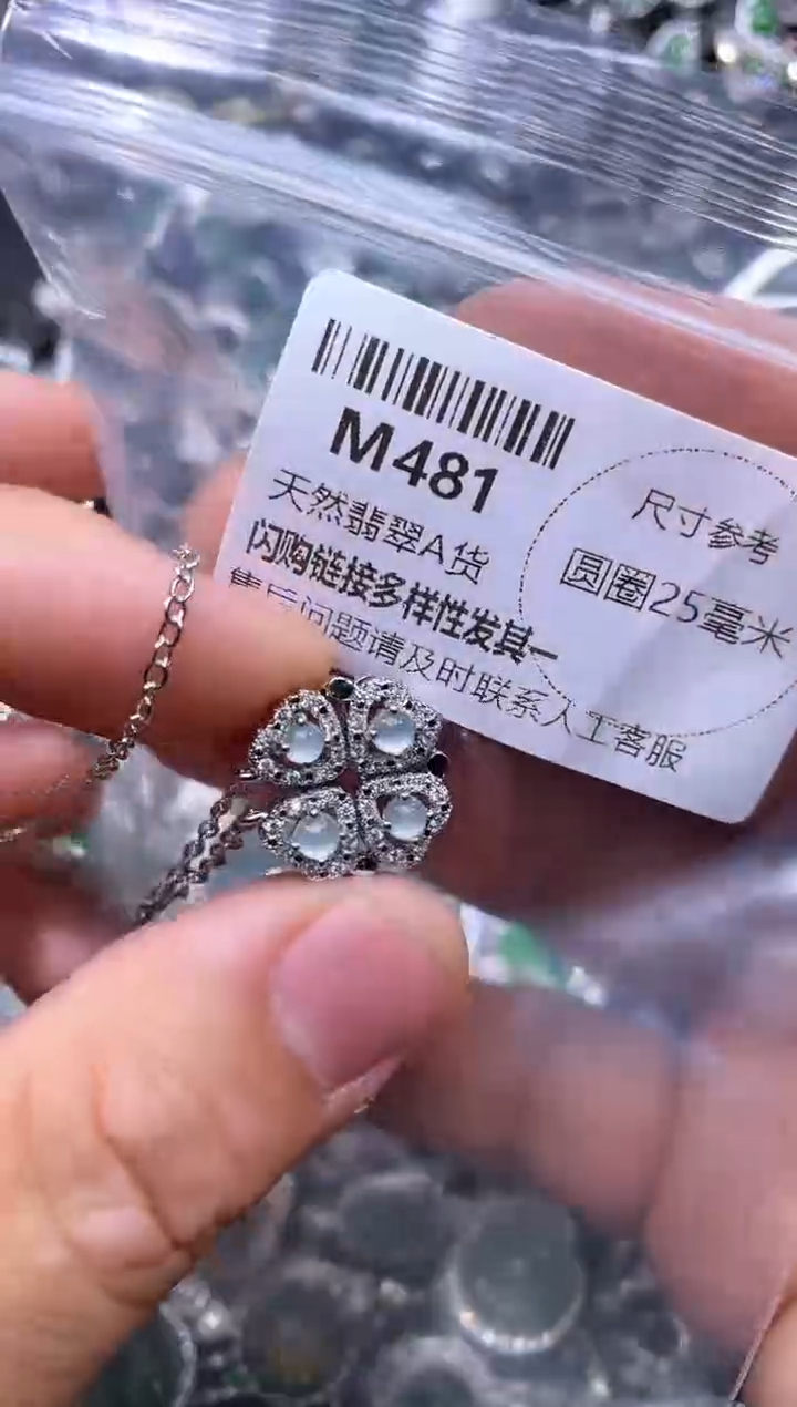 【闪购商品】翡翠颈饰未镶嵌M481项链