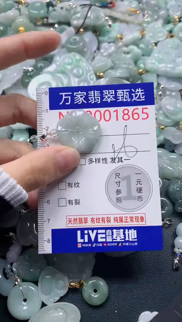 吊坠(不含链)未镶嵌翡翠1865