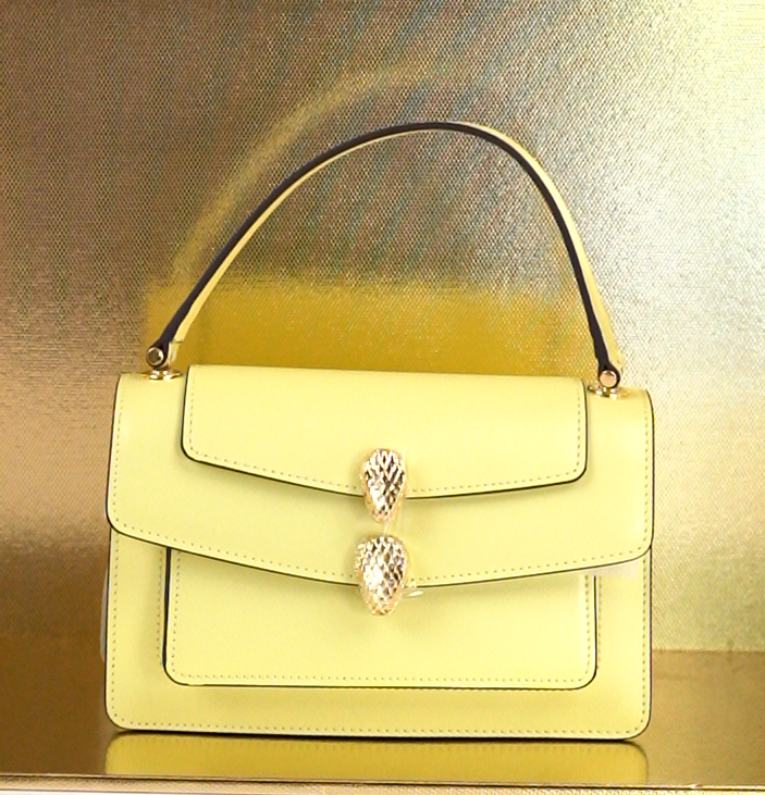 65（全新未拆封）轻奢时尚潮流气质单肩斜跨女士包包 20*6*12.5cm