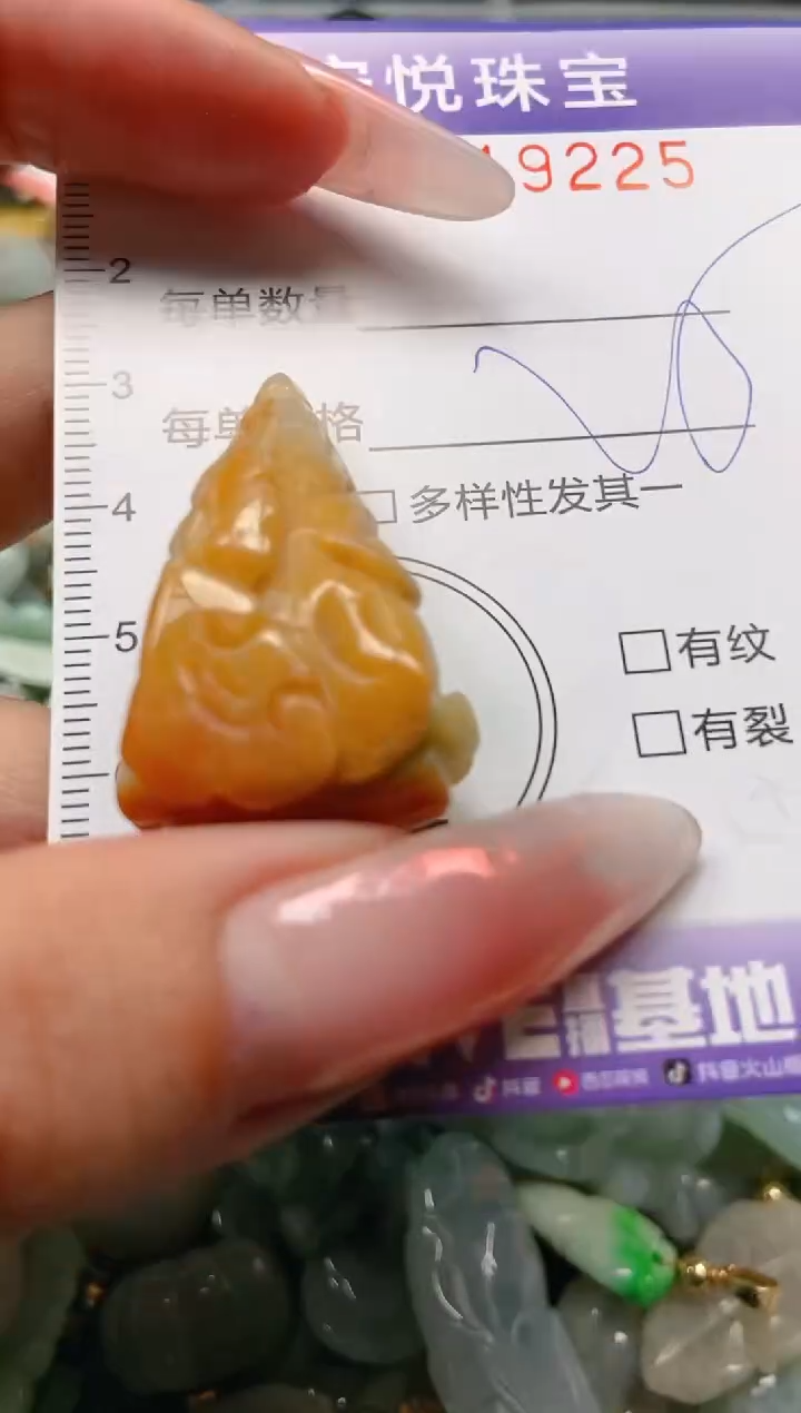 【闪购商品】翡翠颈饰未镶嵌闪购0119225