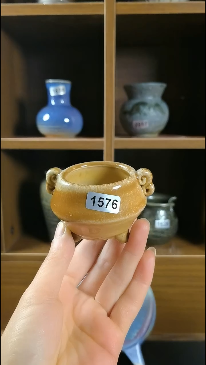 【闪购商品】红陶1576