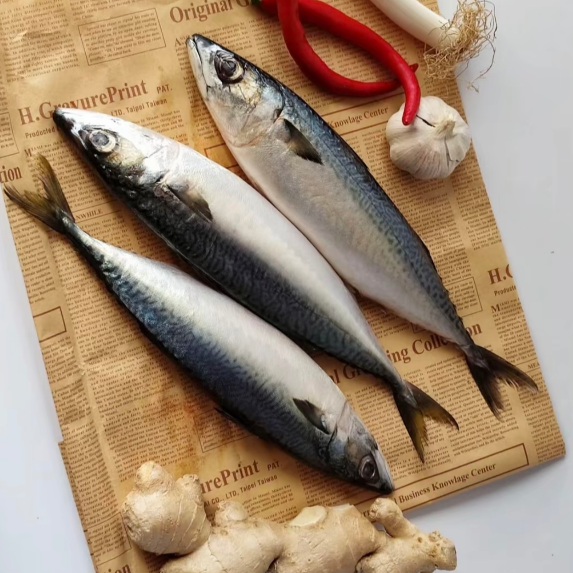 珠海本港5斤巴浪鱼池鱼 顺丰冷链 码头直发