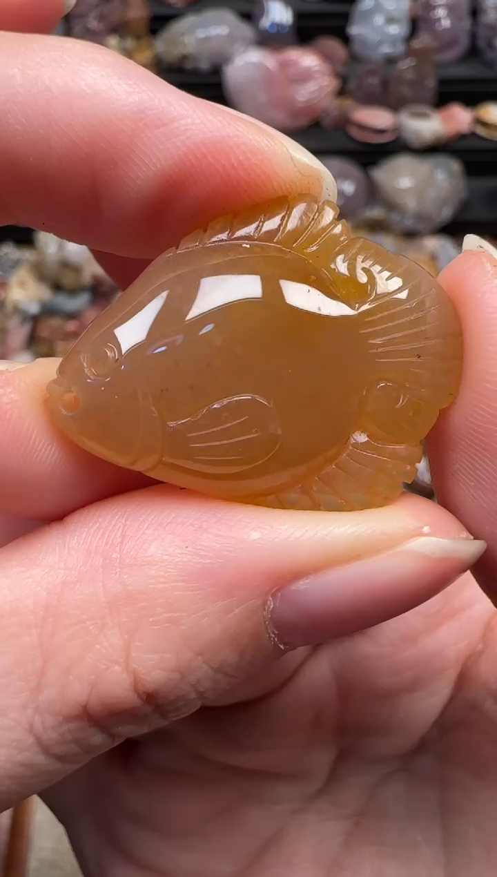 颈饰未镶嵌硅化珊瑚（珊瑚玉）651
