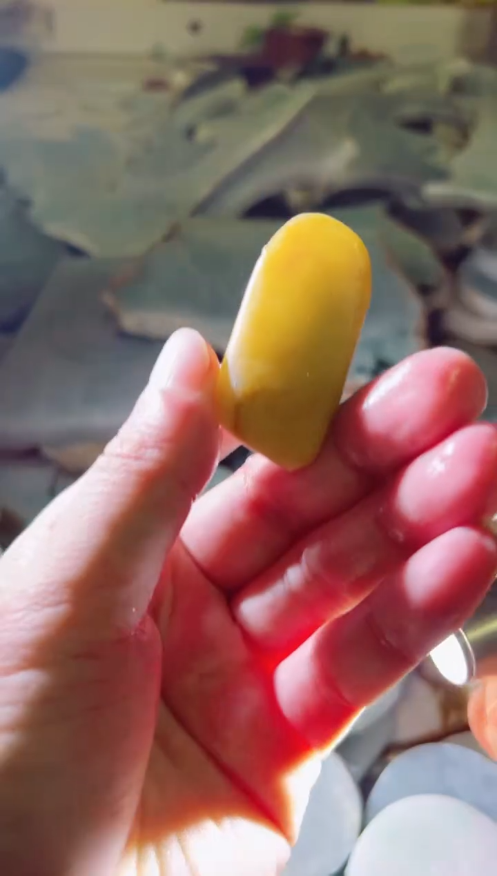 【闪购商品】翡翠颈饰未镶嵌翡翠A货小猫23