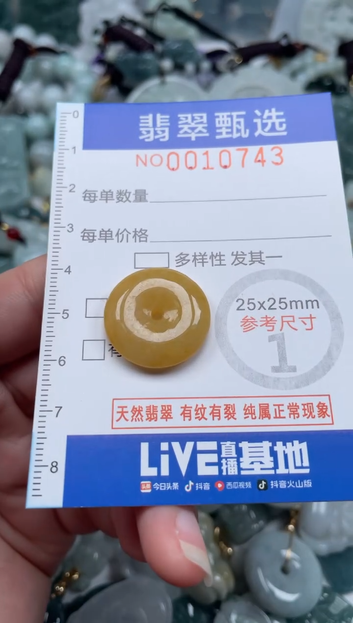 颈饰未镶嵌翡翠10743