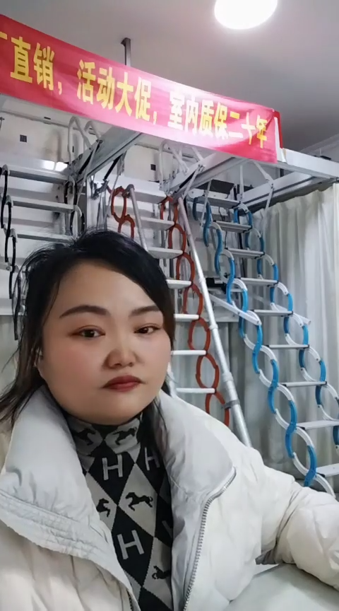 金属家用伸缩楼梯