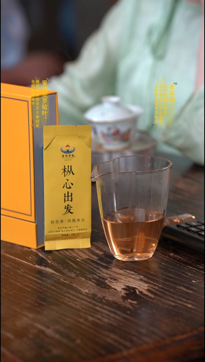 爱新觉罗枞心出发