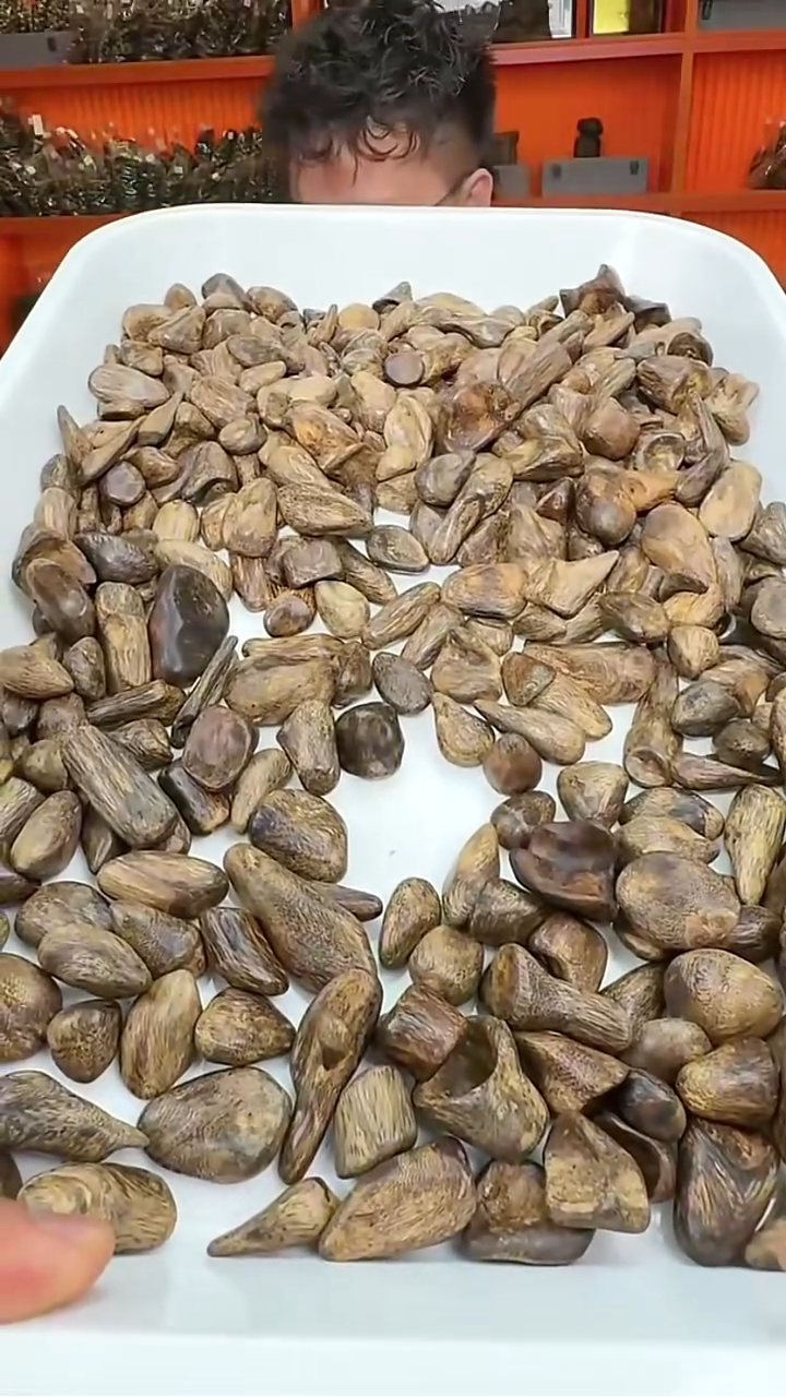 沉香吊坠176号舍利子发一粒多样性发一