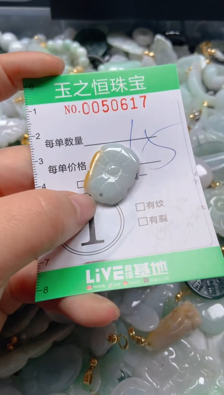 【闪购商品】翡翠颈饰未镶嵌闪购0050617