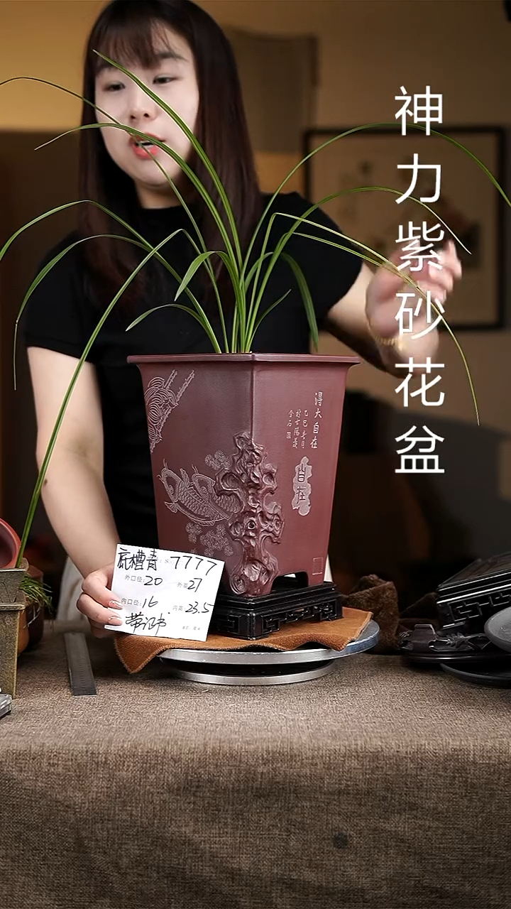 紫砂花盆紫砂花盆7777