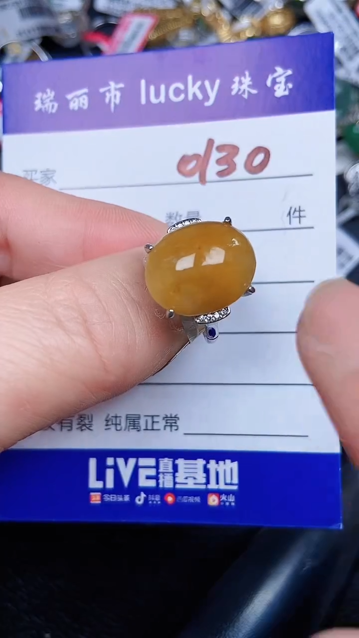 颈饰银S925镶嵌翡翠0130