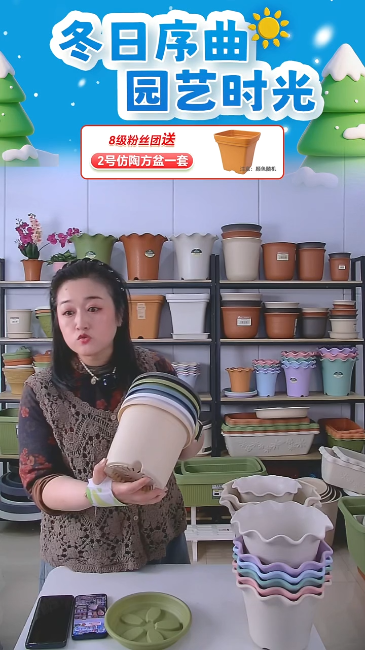 四季盆2号盆五个无托盘，颜色各一个