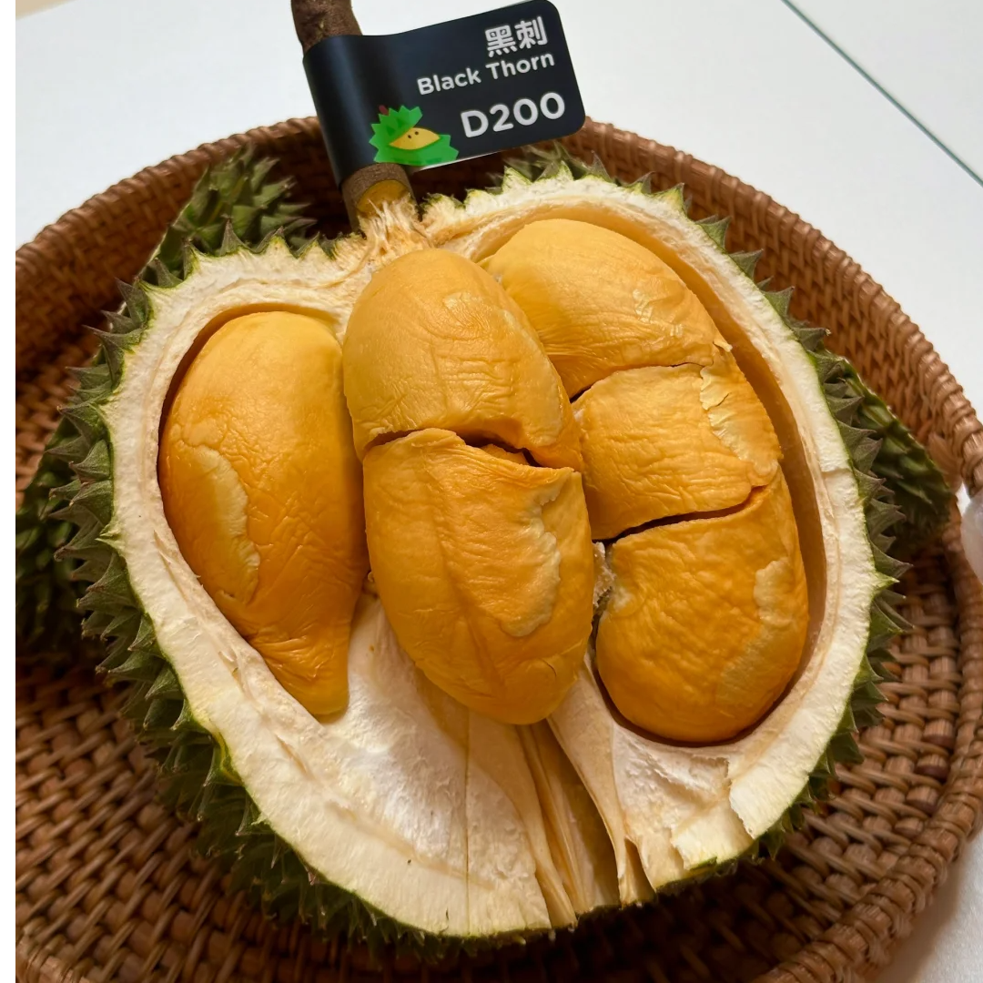 稀有黑刺榴莲D200马来西亚进口液氮整果黑刺马来西亚