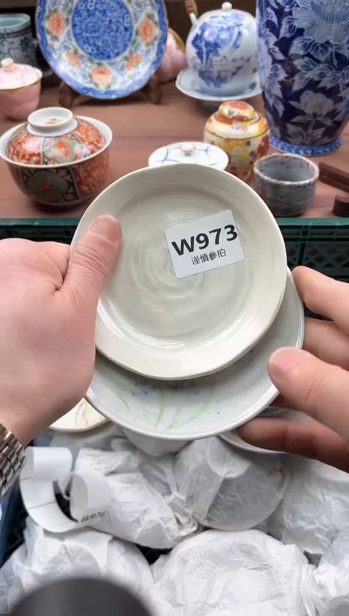【闪购商品】瓷片973             
