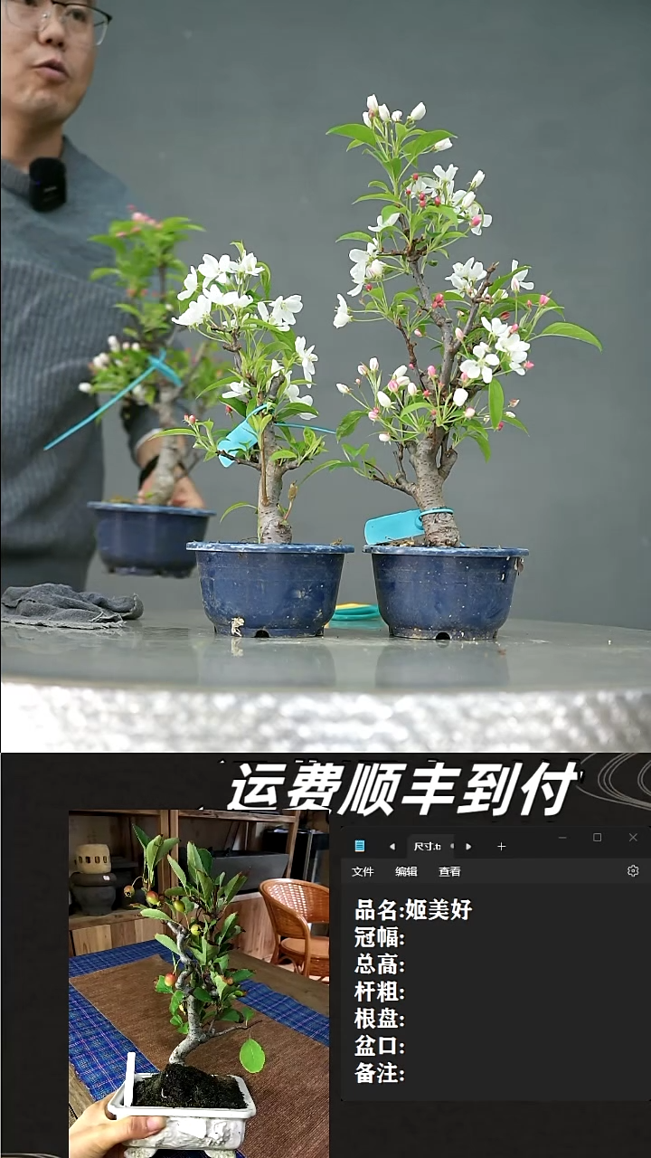 【闪购商品】62  姬美好